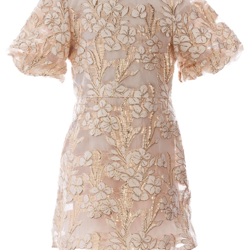 Floral Embroidered Sheer Dress